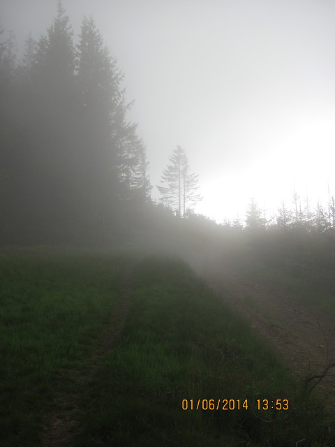 img00052.jpg