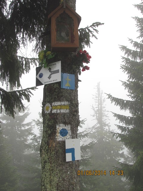 img00055.jpg