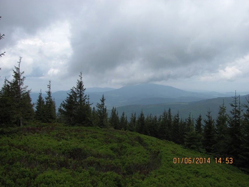 img00056.jpg