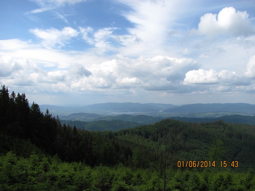 img00058.jpg