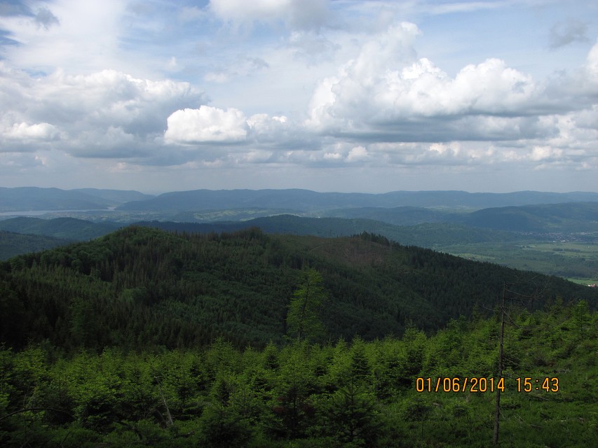 img00059.jpg