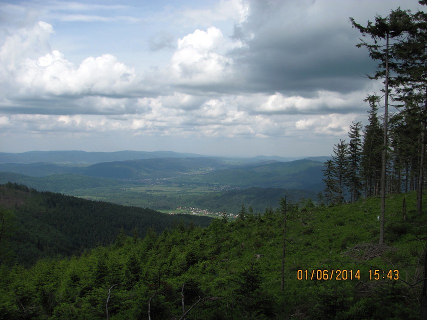 img00060.jpg