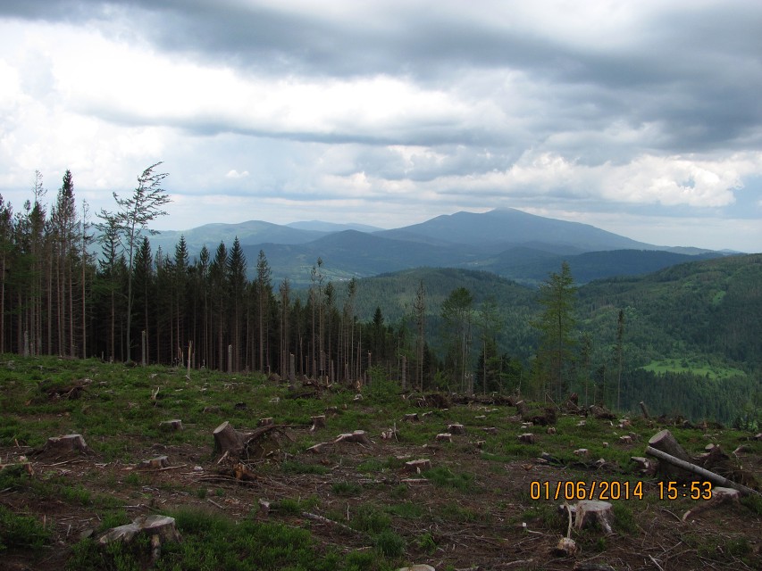 img00062.jpg