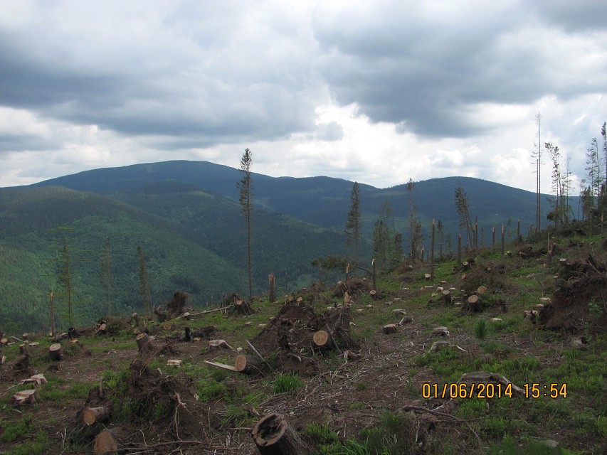 img00063.jpg
