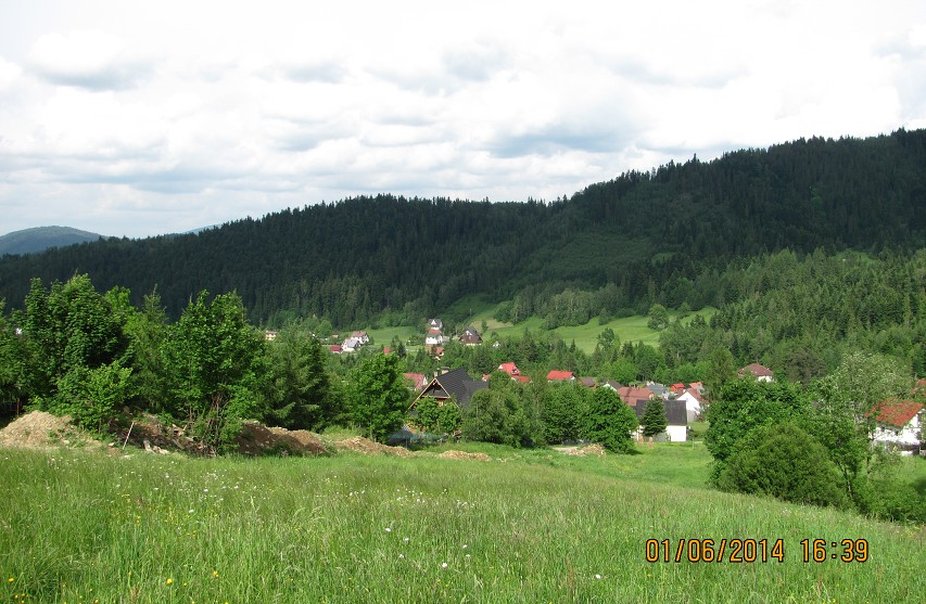 img00065.jpg