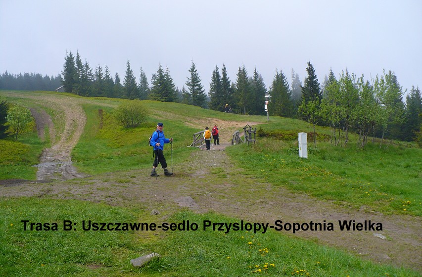 img00070.jpg