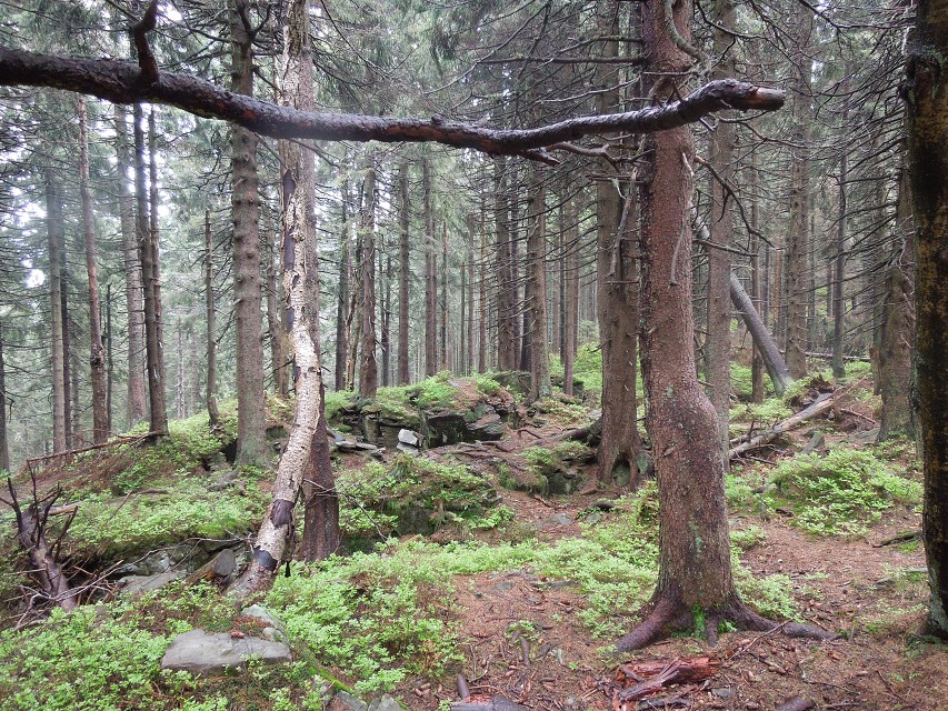 img00074.jpg