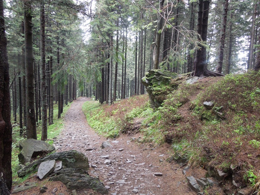 img00075.jpg