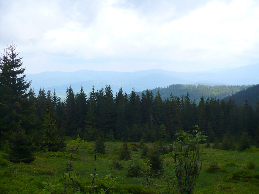 img00076.jpg