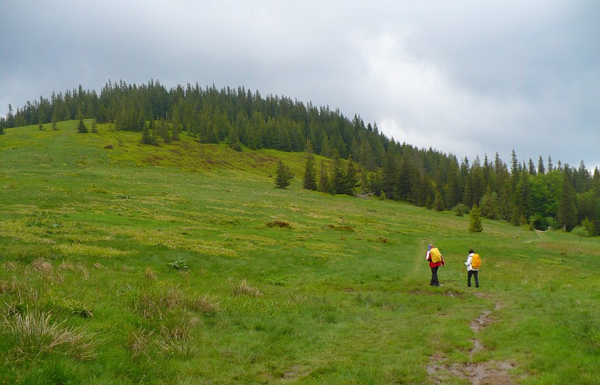 img00077.jpg