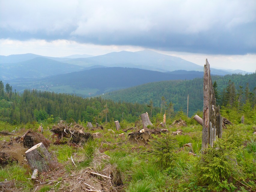 img00084.jpg