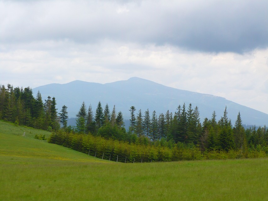 img00085.jpg