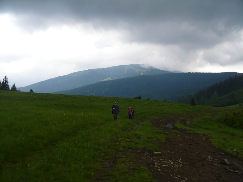 img00086.jpg