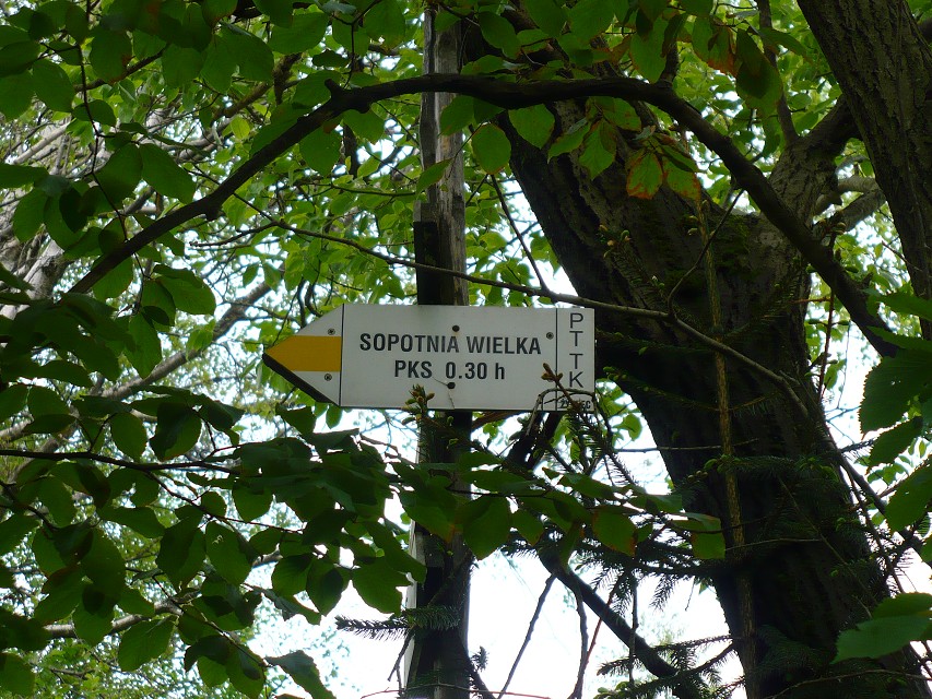 img00087.jpg