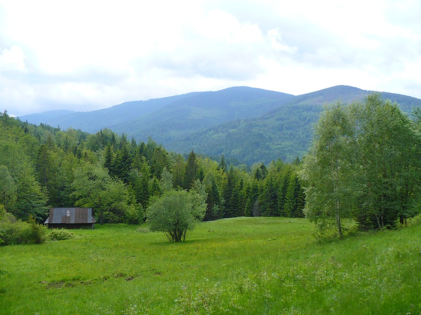img00090.jpg