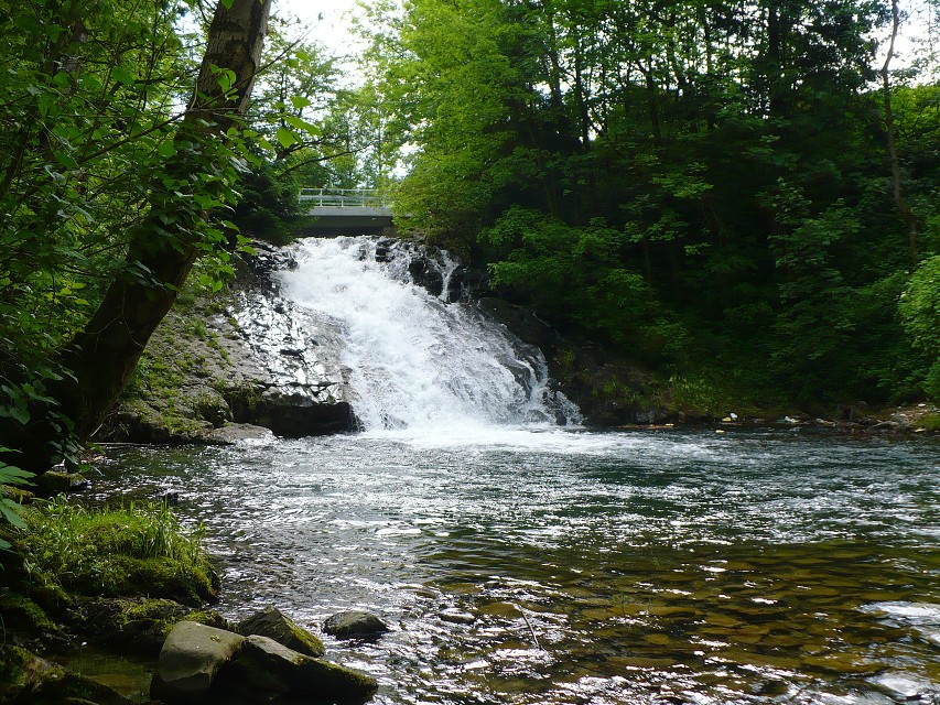 img00094.jpg