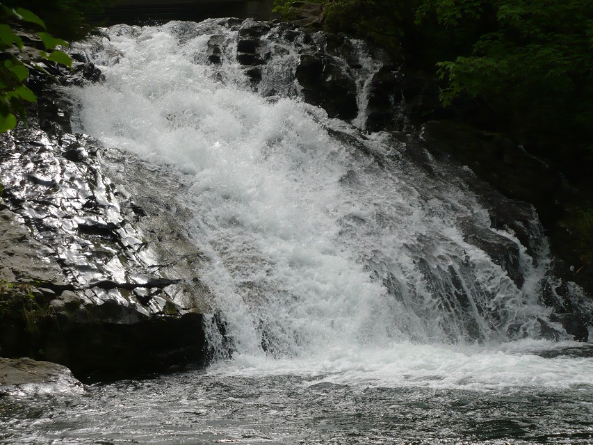 img00095.jpg