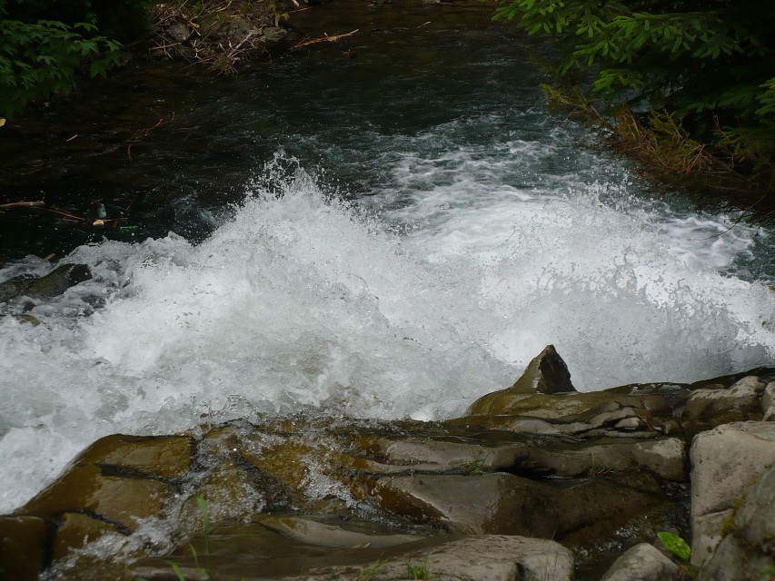 img00096.jpg