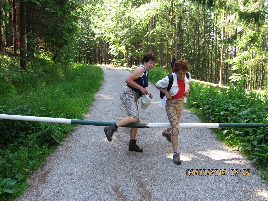 img00008.jpg
