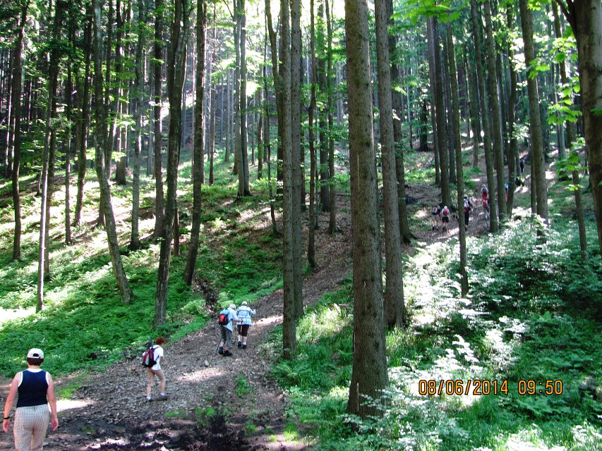 img00010.jpg