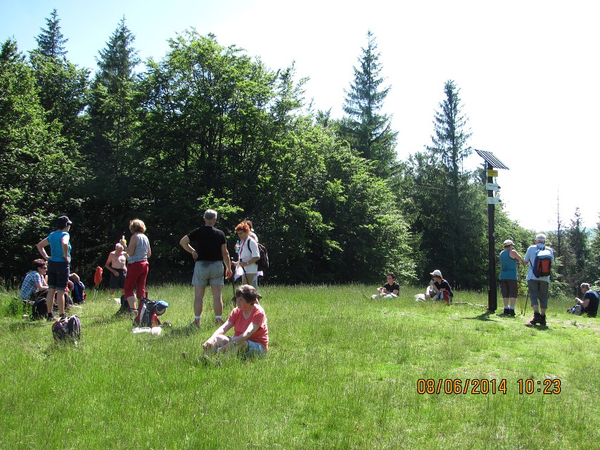 img00011.jpg