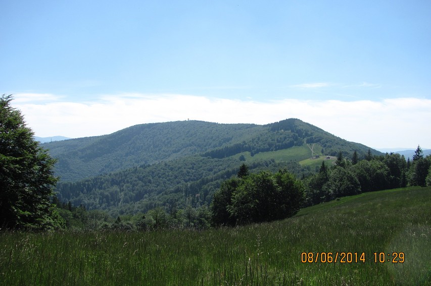 img00014.jpg