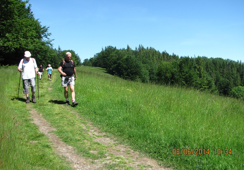 img00015.jpg