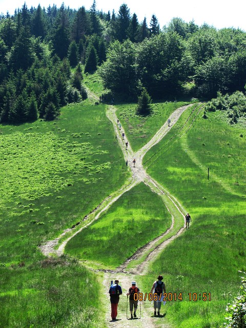 img00019.jpg