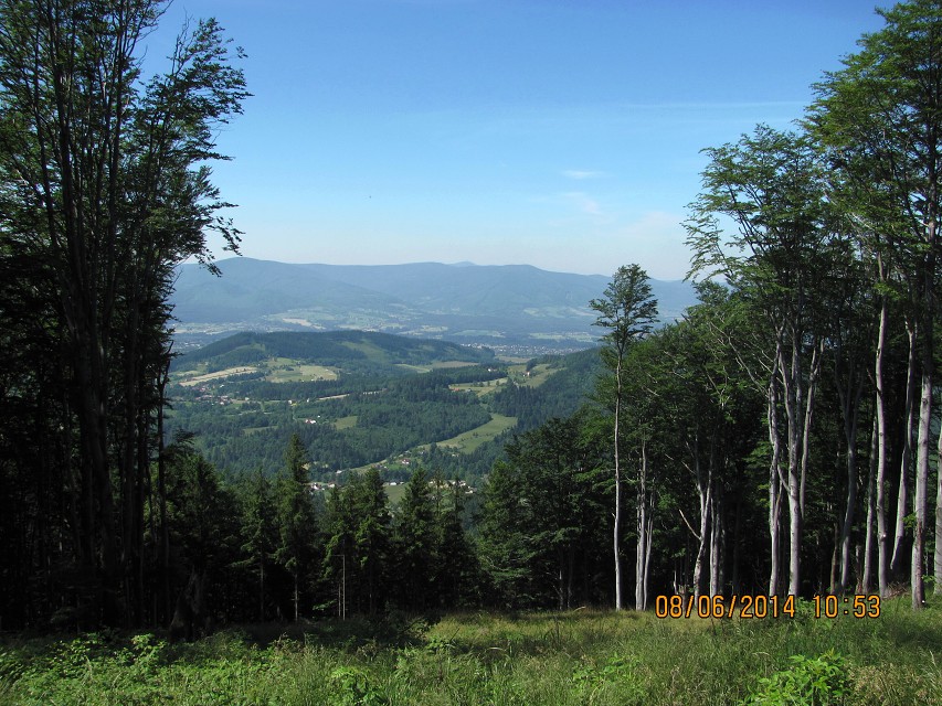 img00020.jpg