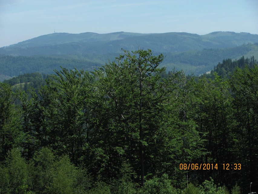 img00037.jpg