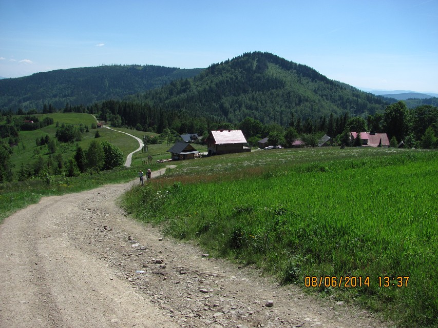 img00042.jpg