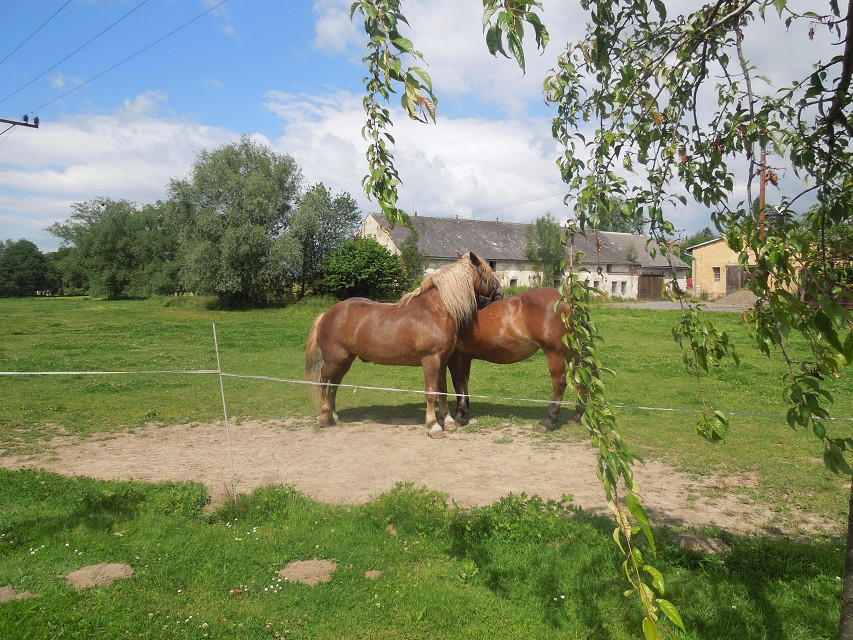 img00007.jpg