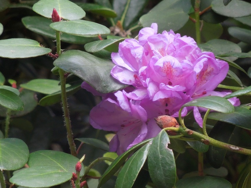 img00021.jpg