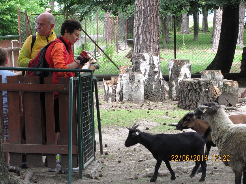 img00026.jpg