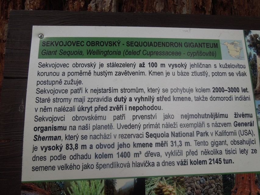 img00029.jpg