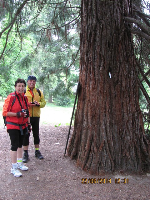 img00030.jpg