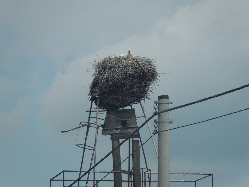 img00038.jpg