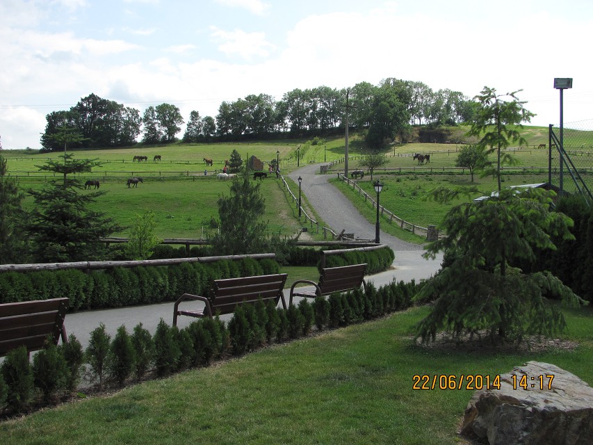 img00043.jpg