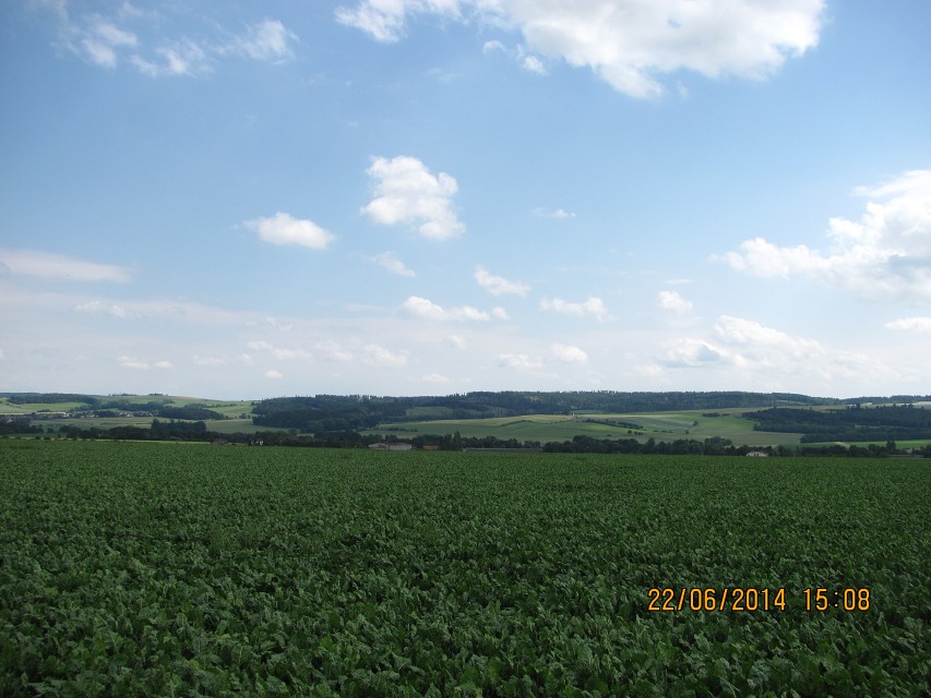 img00050.jpg