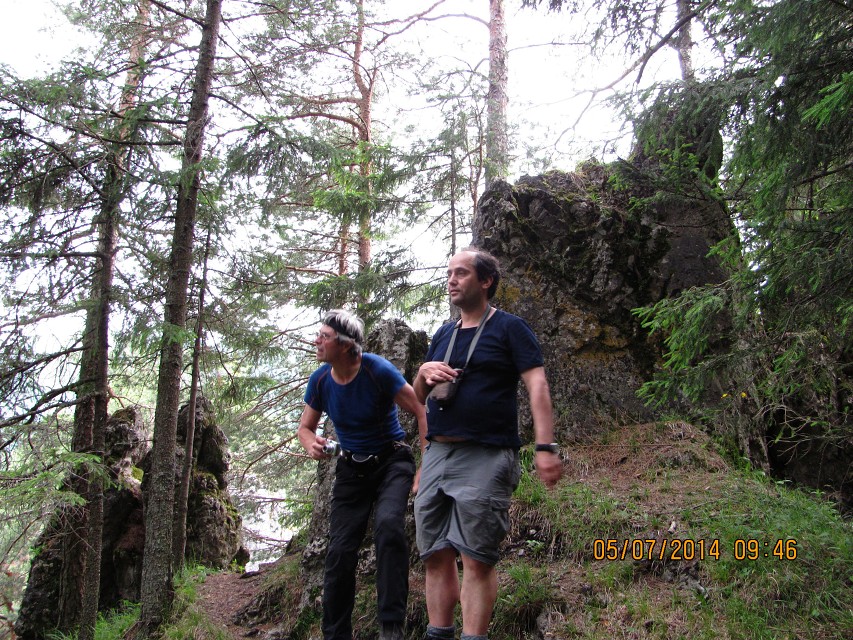 img00003.jpg