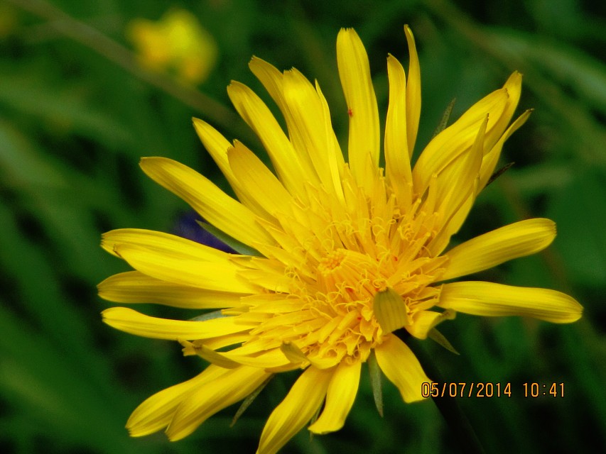 img00006.jpg