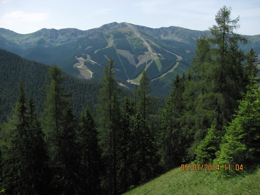 img00007.jpg