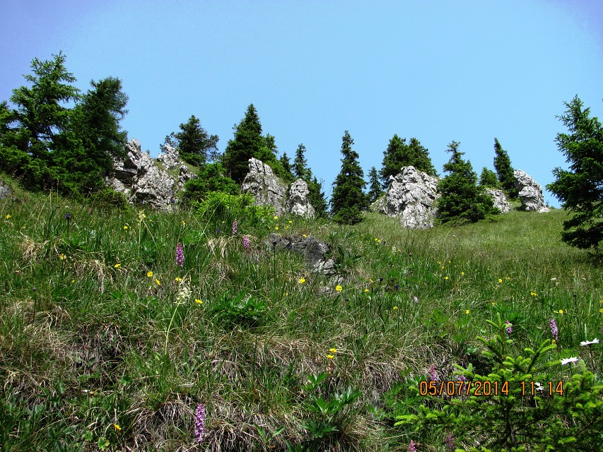 img00008.jpg