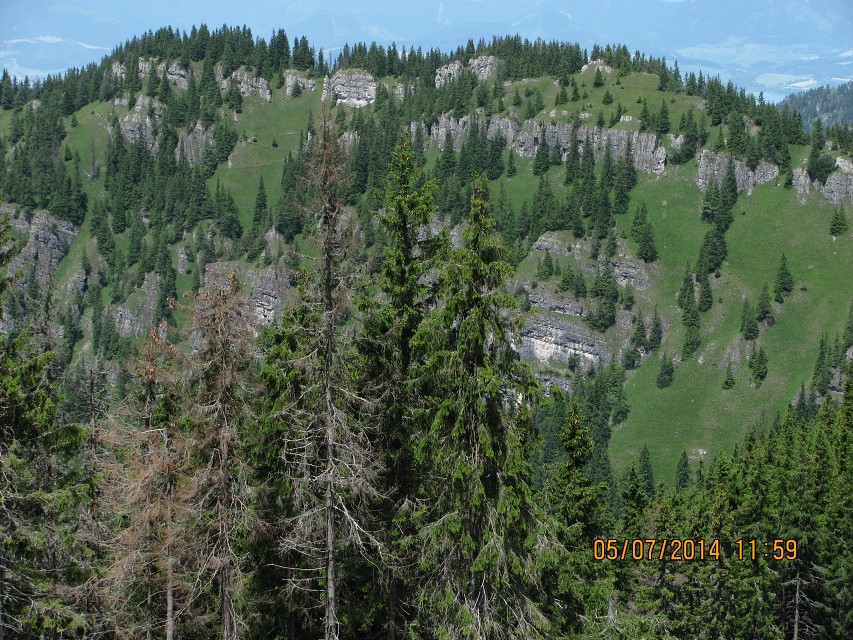 img00011.jpg