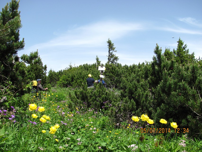 img00013.jpg
