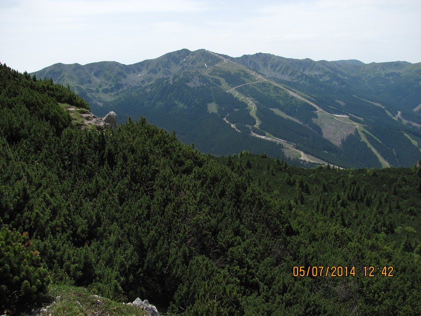 img00015.jpg