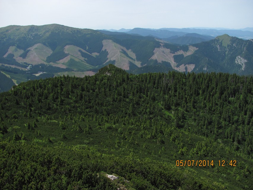 img00016.jpg