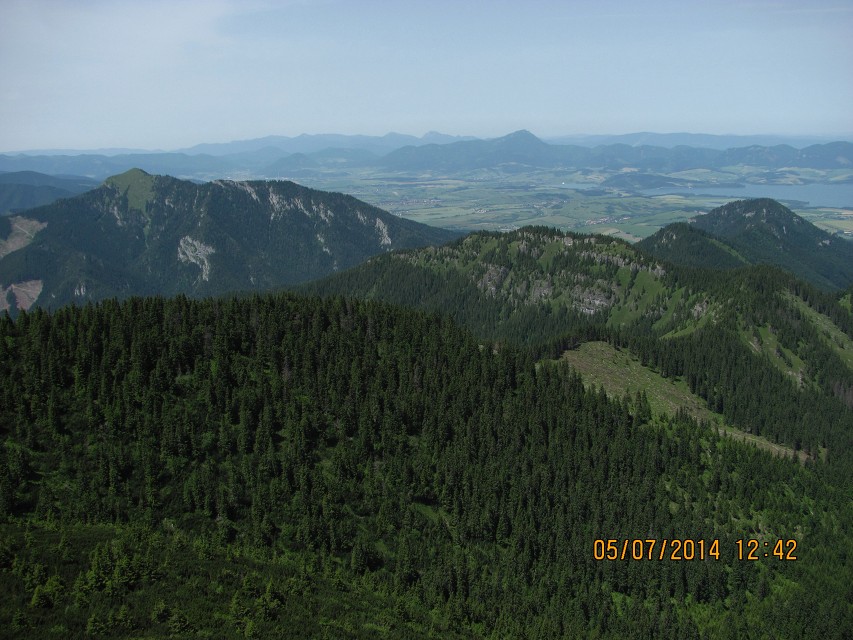 img00017.jpg