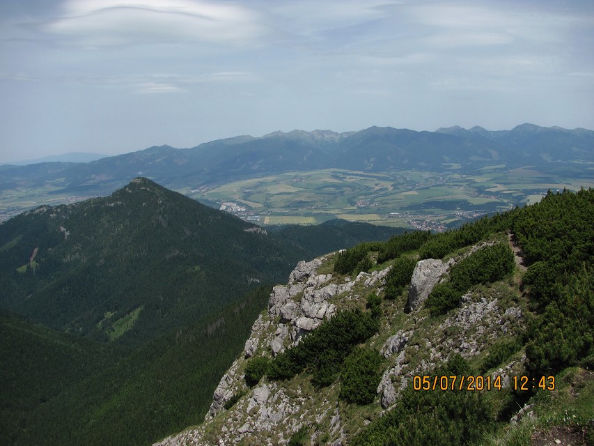 img00018.jpg