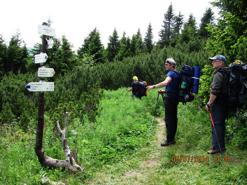 img00020.jpg